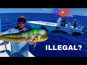 THE COPS WANTED MY FISH! Patch Reef Fishing Florida Keys