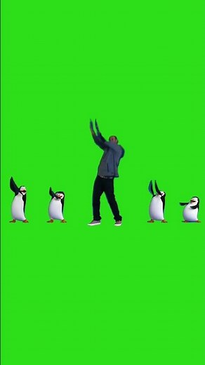 Penguins Dance green screen #meme #lol #funny #penguindance