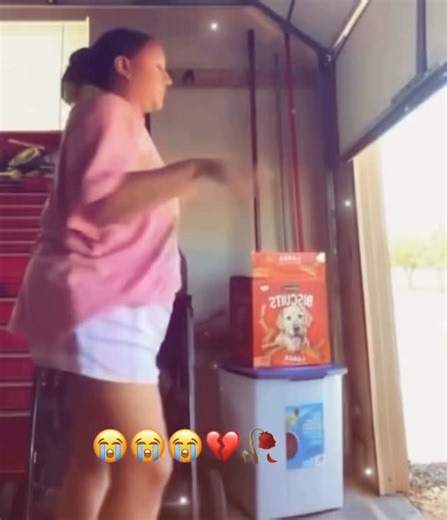 Youfuckinlying on Instagram: "You must follow Golf carts are proof that freedom doesn’t need horsepower. Slow enough to feel harmless, fast enough to feel illegal. Suddenly every sidewalk looks like a racetrack and every turn feels sharper than it actually is. They’re never used just for golf. They become neighborhood transport, campground taxis, and late-night joyrides with no destination. Everyone drives them like rules are optional and consequences are theoretical. Wind in your face, seat bar