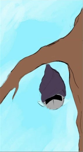 Meta knight and Meta knight #metaKnight #animation 