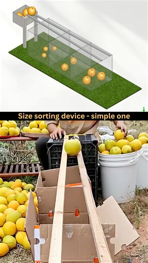 Simple sorting mechanism - good idea ✅