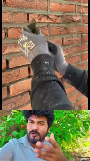 வெளிநாட்டுக்காரன் போச்சு 🔥