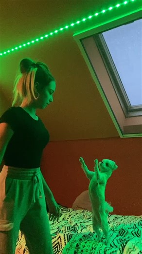 Young Woman and Dog Enjoying Cozy Room Playtime
