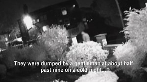 Coming up on Monday night's episode... 🐾🐾 | Heavy Petting