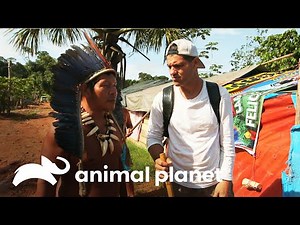Frank conoce a tribu indígena del Amazonas | Wild Frank | Animal Planet
