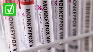 Yes, if you're vaccinated against smallpox, you have some protection against monkeypox