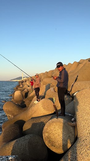 Báo cá toya thứ 2 14/10/ cho ae nhé . Hôm nay chắc cả bãi móm 😝😝😝#c_super_fishing #câucá #ブリ #stella #fishing #muthossonio100m