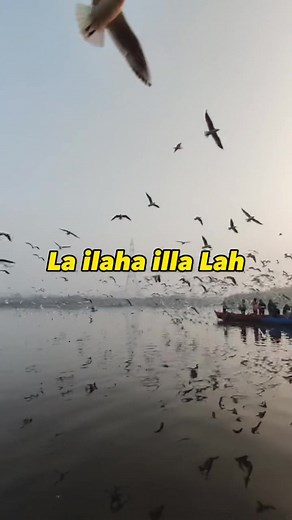 Chanson musulmane en français - Enregistrement préféré