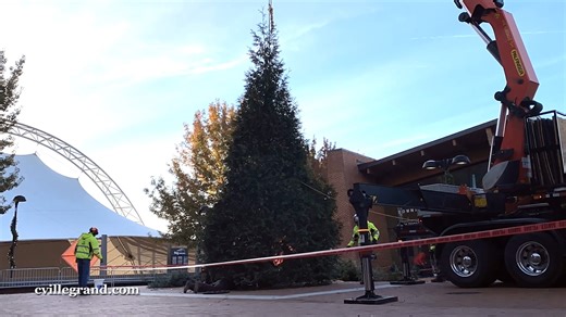 15 reactions | The holiday tree is here! Don't miss Charlottesville's Grand Illumination on Friday, December 1st from 5-8PM at Ting Pavilion in Charlottesville! https://fb.me/e/61VK1JaRY | City of Charlottesville, Va - Government | Facebook