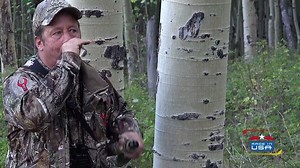 4.8K views · 65 reactions | Happy 4th of July, Duel Nation! Elk and deer season are right around the corner. Leave the toy calls for the kids and Get Real with Duel Game Calls - the only call that has Dual Chamber Technology that precisely emulates the real animal! Our friend Weston Clark is giving away the best 17" Elk Bugle on the market! All you have to do is leave a comment on this video and tell us why YOU should win! | Duel Game Calls | Facebook