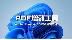 Adobe Acrobat DC(PDF编辑软件） PDF增效工具