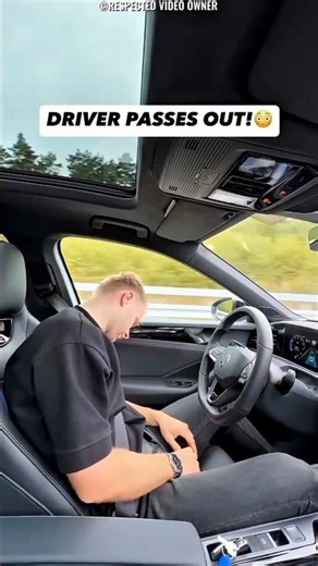"The driver suddenly fell asleep while driving."