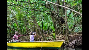 16K views · 238 reactions | STOP! What you're doing and take a short photo tour around the #NatureIsland with us!! | Discover Dominica | Facebook