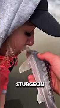 You Would NEVER Expect This Fish to Be Older Than Dinosaurs 😳