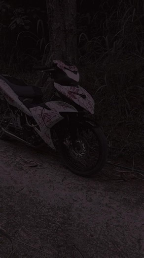 Toraja Pride: MX Hamster Viral di Public Spotlight