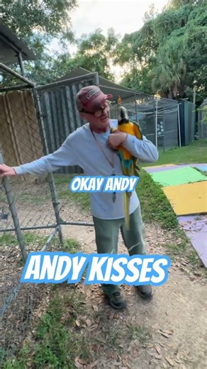 Parrots: The Perfect Companion You Didn't Know About