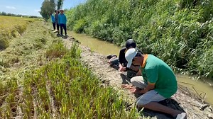 15M views · 119K reactions | Kênh YouTube “ 2 Lúa Miền Tây “ Cảm ơn cả nhà ủng hộ !!! | Hai Lúa | Facebook