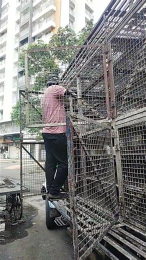 chicken car #mini #viral vlog..