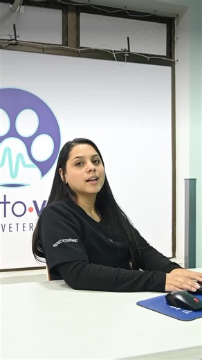 La alborada no siempre es motivo de celebración… para muchos peludos, es una noche de miedo. 🩺 Aquí te dejamos algunos consejos para ayudarlos a pasarla tranquilos. 💚 En PuntoVet Medellín estamos contigo para cuidar su bienestar, siempre. 📍Urgencias 24 horas · Hospitalización · Medicina Preventiva #PuntoVetMedellín #Alborada #CuidadoAnimal | Veterinaria Punto VET