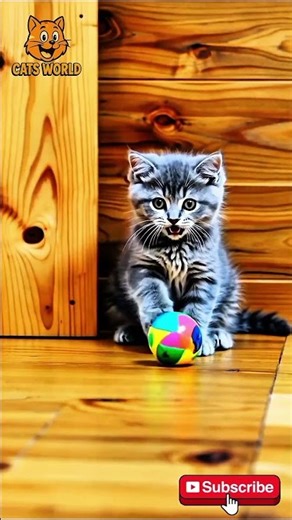 This Rolling Ball Started a Cat War 🐾