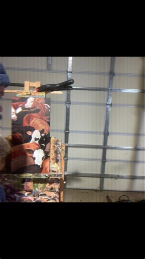 Cow Swarm Oil Painting on Canvas Almost Finished