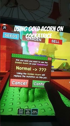 applying gold acorn on cockatrice in grow a garden