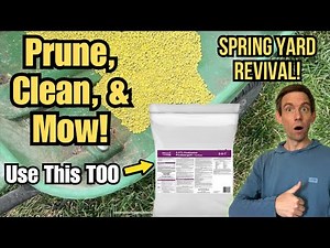 Spring Yard Cleanup! 🌿 Pruning, Pre-Emergent & First Mow | Mowing Vlog