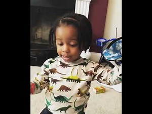 Adorable 3-year-old explains why the dinosaurs went extinct