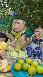 Orange 🍊 again 👍yummy 👍👩‍🍳👩‍🍳 | YaYa Note