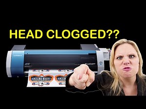 bn20 head soak unclogging dx7 printhead BN-20 Eco Solvent Printer **WORKS**