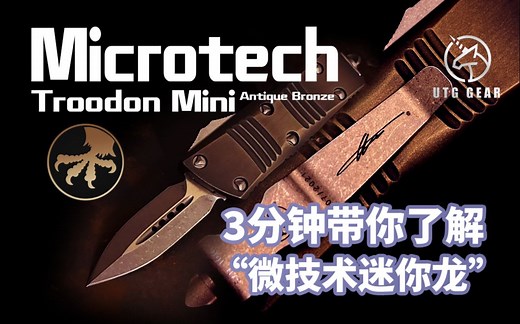 3分钟带你了解微技术 Troodon mini 迷你龙