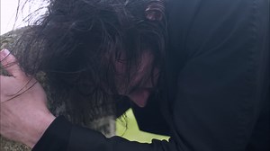 Premium stock video - Distraught, emotional, crying man grieving the death of loved one in cemetery