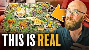 The Mushroom Motherboard: The Crazy Fungal Computers that Might Change Everything – Lifeboat News: The Blog