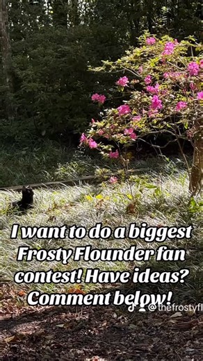 I think it’s about time for a free ice cream contest! I would like to do a biggest Frosty Flounder fan contest. Have any ideas of what we should do? Maybe make a video? Tag me in it? Take a photo of you dressed as the ice cream truck? Have another fun idea? I would love to hear it! Comment below and then we can decide and make it happen!! Each person who comments with an idea will get a bonus entry before the contest even begins! The funnier the idea, the better. I like to laugh. #contest #thefr