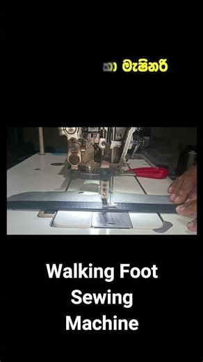 ලෙදර් රෙක්සින්ග් වගේ ගණකම දේවල් මහන්න සුපිරි මැසිමක්