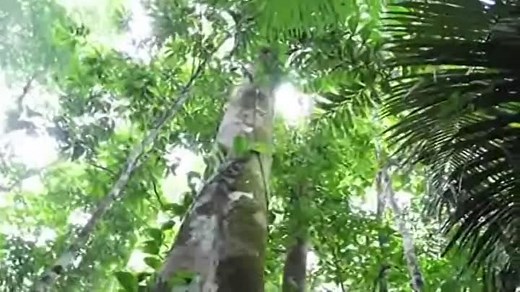 El Condor Pasa (Original) - YMA SUMAC (1971)