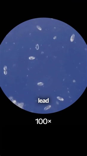 40 reactions · 122 shares | Water so pure you can taste it: the NEW Sans Water Purifier is ready to join the family, bringing crystal clear, ultra pure water with no installation necessary. | Sans | Facebook