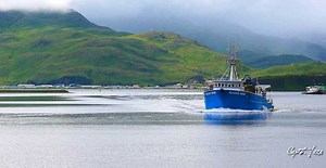 NEW PARTNERSHIPS TO BUILD DEMAND FOR ALASKA POLLOCK