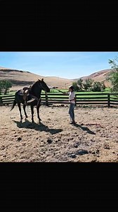 It can start out a little western, but end pretty well if you stick with it and show them that it's okay. No it's not flooding, it's sticking with them as they move around and releasing the pressure when they allow it to touch them. The timing in this is important. I start out wide and then gain closer to them as they settle. He is still a little leery about it, but he figured out that he can stand still and accept the scary monster without over reacting. :) #Western #Horsemanship #horsetraining