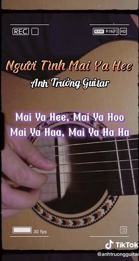 Hỡi em yêu ơi.. Sao Numa Numa Yay... #anhtruongguitar #guitarsolo #guitar
