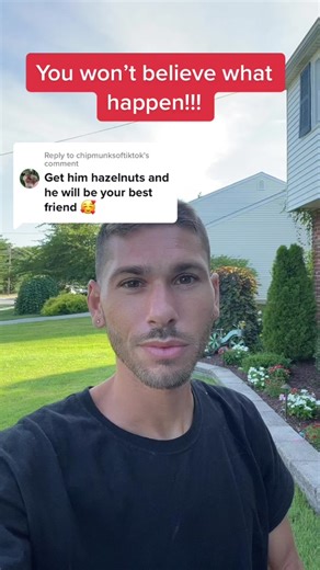 Feeding a Chipmunk: Day 4 Progress and Surprising Gift