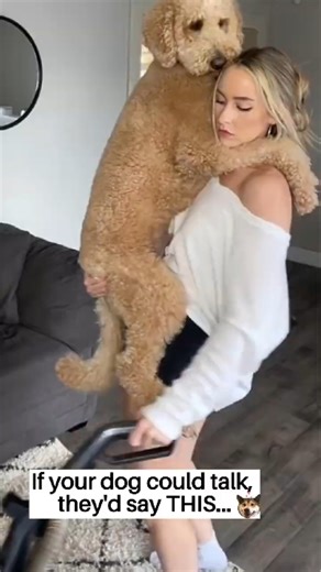 Your Dog's Behavior Might Be a Cry for Help. #🐶😬❤️ doghealth #petcare