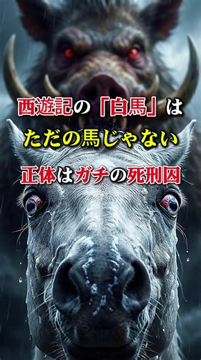 西遊記の白馬はただの馬じゃなかった！？#歴史 #オカルト #妖怪 #西遊記
