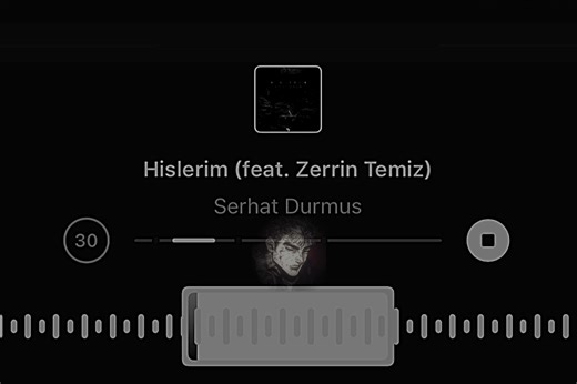 Hislerim (feat. Zerrin Temiz) - Serhat Durmus #song #hislerim #zerrintemiz #serhatdurmus #music