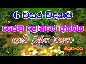 Grade 06 Science lessons in Sinhala | | 6 වසර විද්‍යාව | ජෛව ලෝකයේ අසිරිය - කෙටි ප්‍රශ්න මාලාව