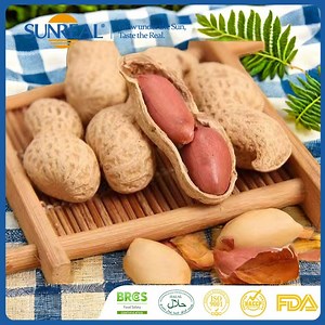 [Hot Item] Shell Toughness in-Shell Kernel Stability Maintained Raw Groundnut/Peanut