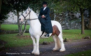 New side saddle range launched at Addington - Horse & Hound