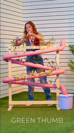 Genius Garden Hack: DIY Hydroponic System at Home 🌱