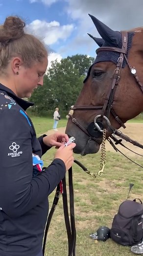 EBay is flying 🚀🚀 Third again in today’s 1.50m jump-off class 🥉 Thank you @dabeebsmama for this opportunity with him 💪🏼 | Joseph Stockdale - Showjumper