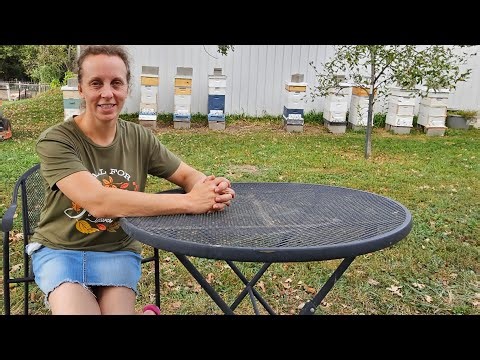 Homestead beekeeping: How to make candy boards!!